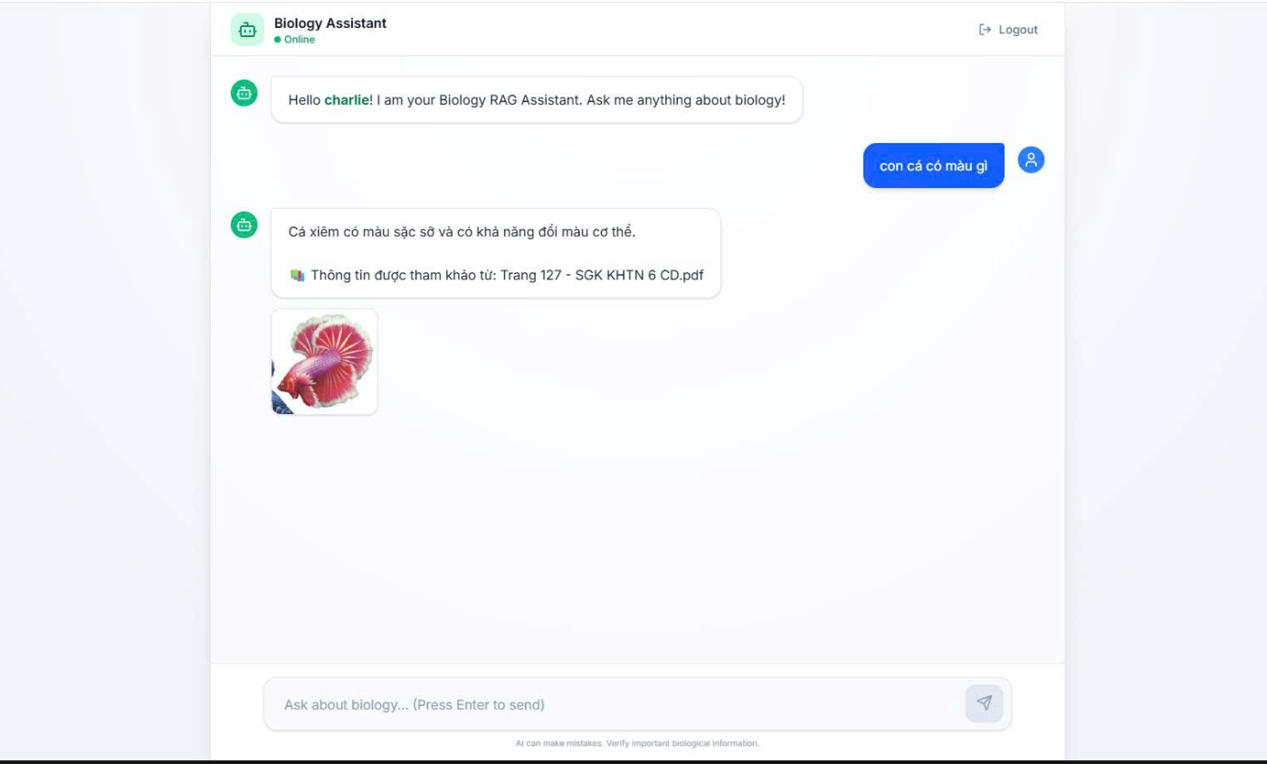 RAG Strict Text and Image Response